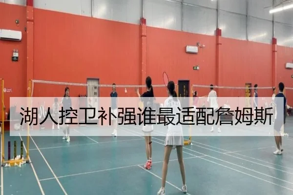 湖人控卫补强谁最适配詹姆斯